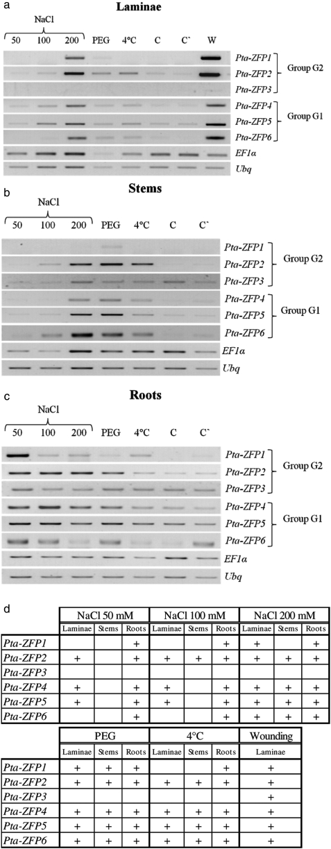 Figure 3.