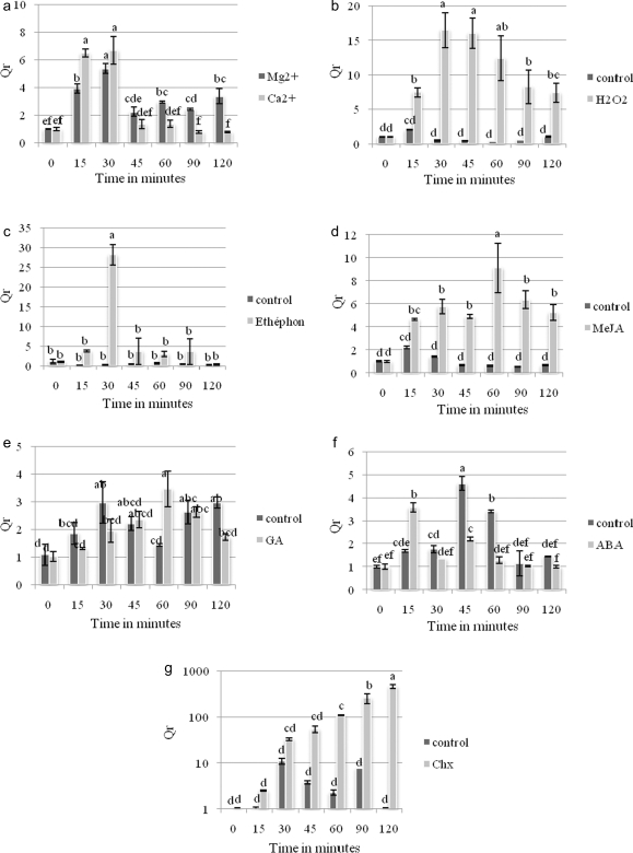 Figure 6.