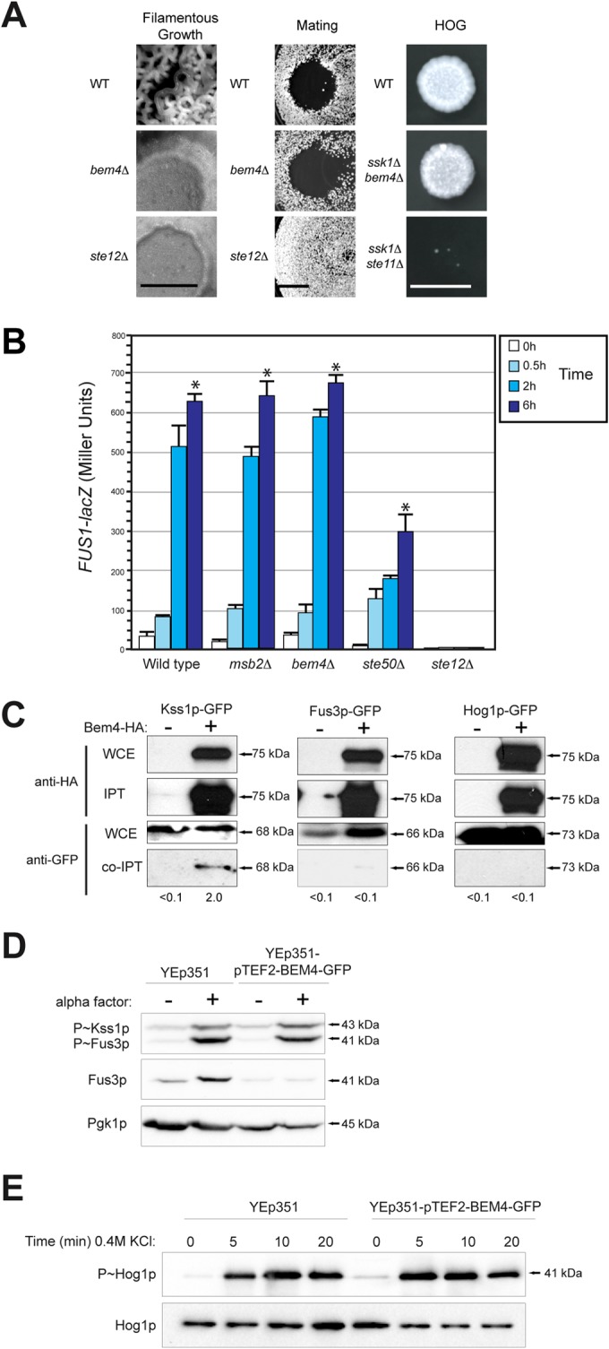 FIG 2