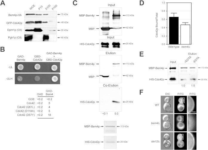 FIG 4