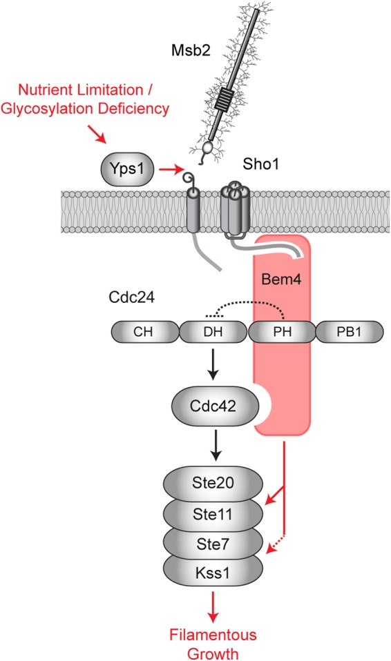 FIG 9