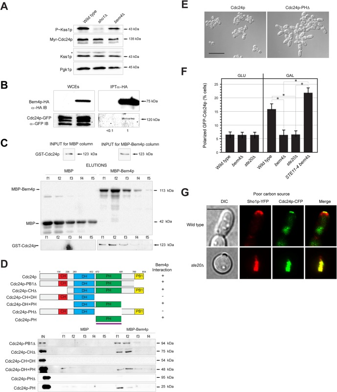 FIG 6