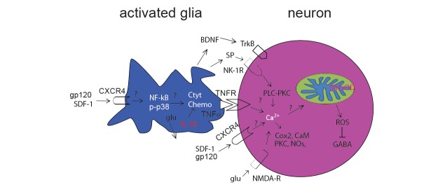 Fig. (1)