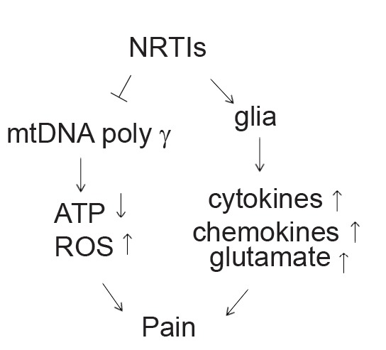 Fig. (2)