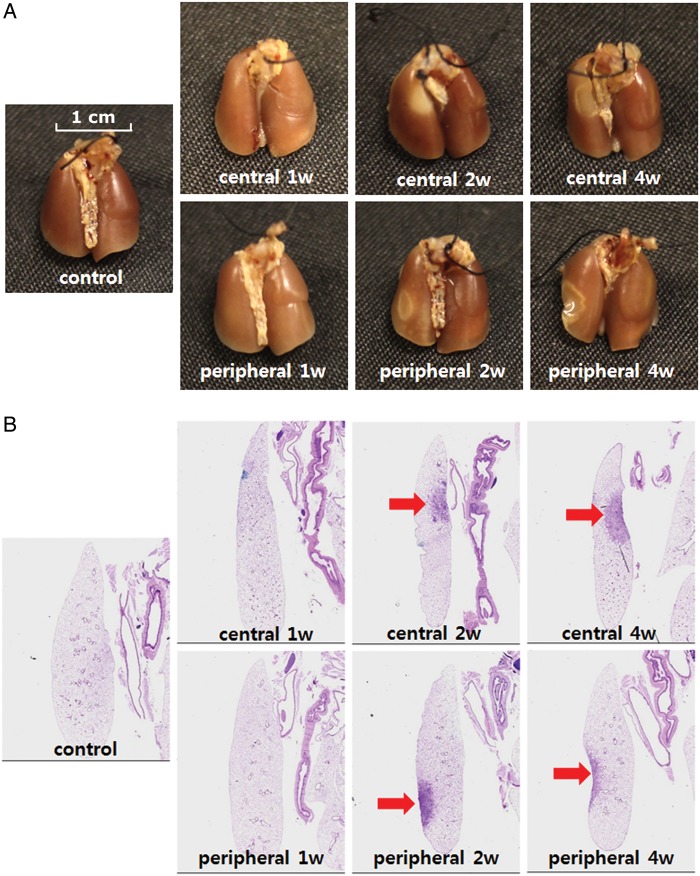 Fig. 3.