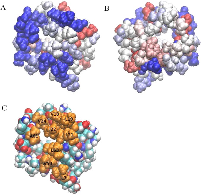 Figure 10