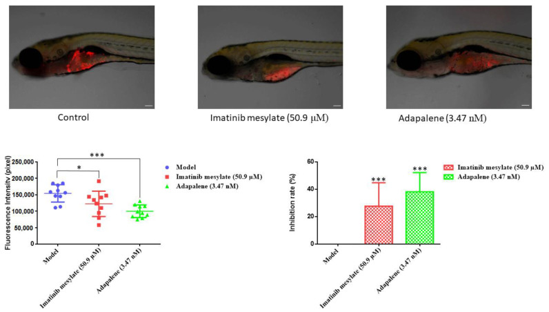 Figure 11