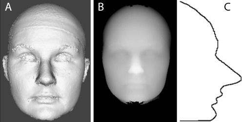 Fig. 1