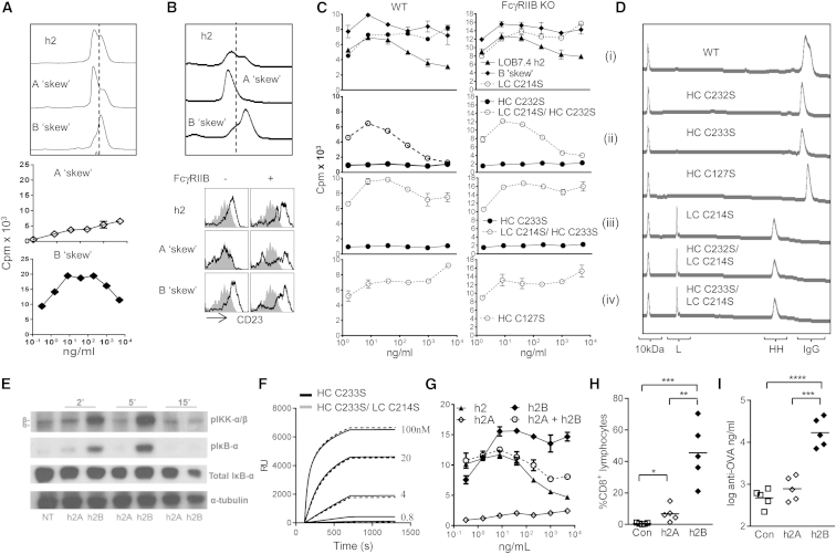 Figure 6