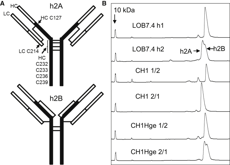 Figure 5