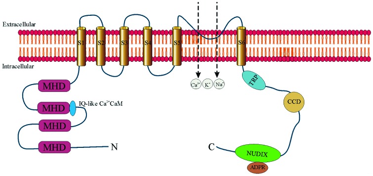 Fig. 2