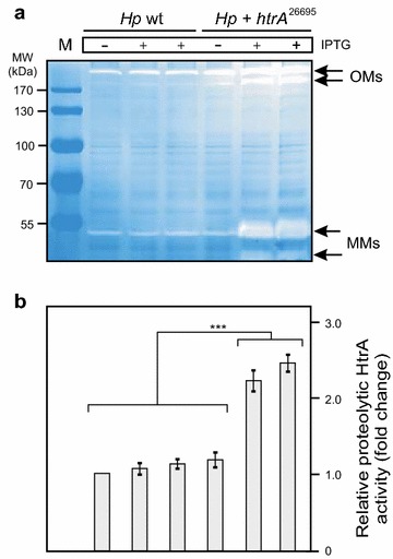 Fig. 2