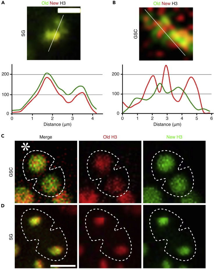 Figure 2