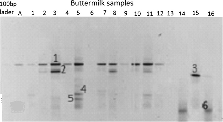 Fig 5