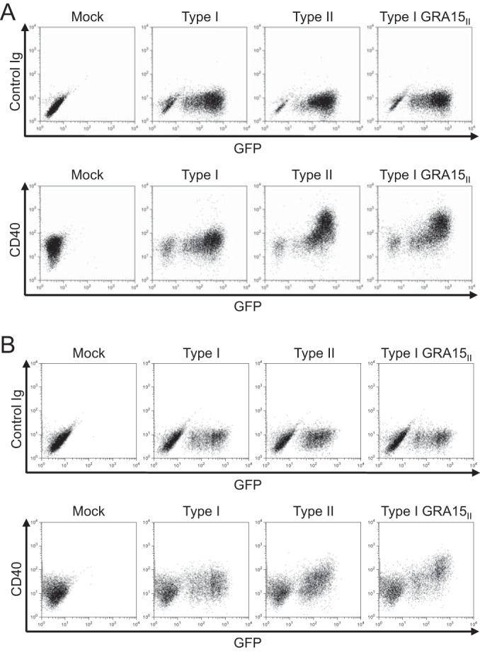 FIG 3