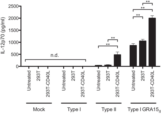 FIG 6