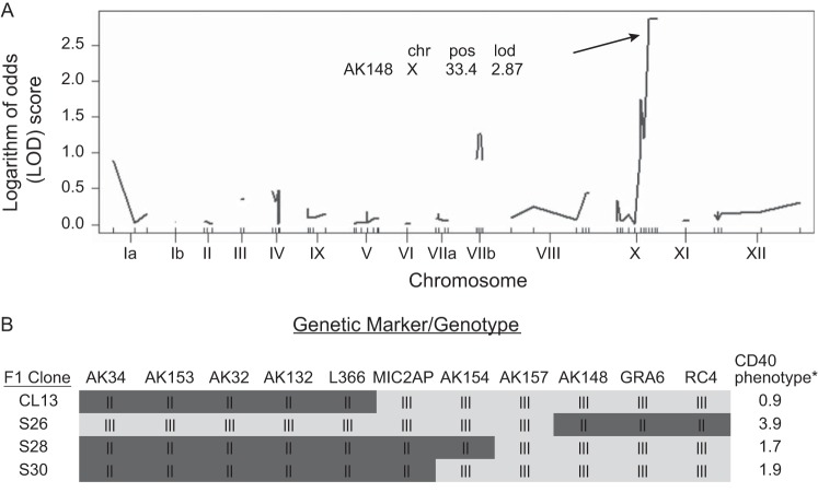 FIG 2