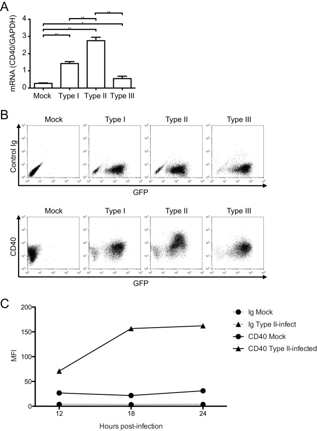 FIG 1