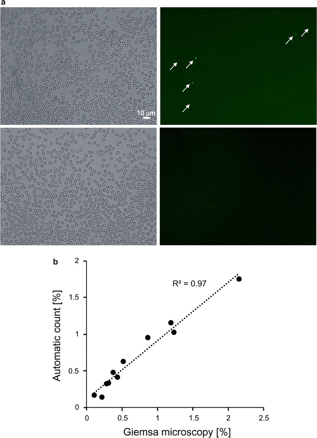 Fig. 6