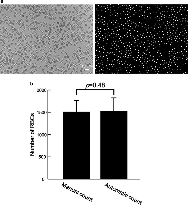 Fig. 5