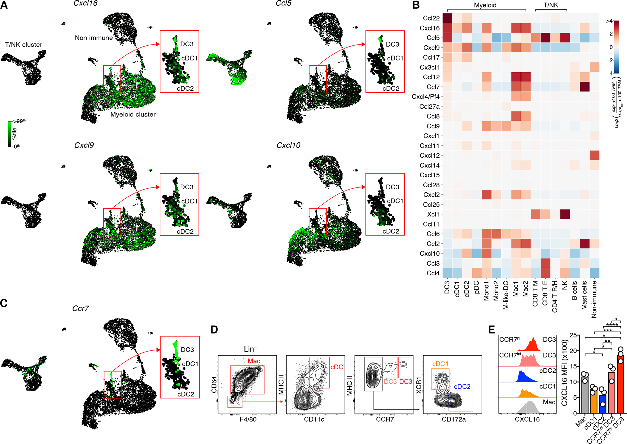 Figure 4: