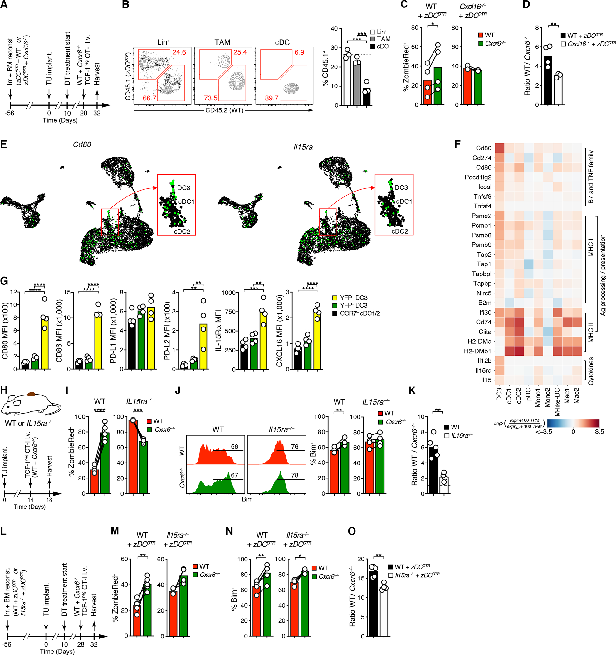 Figure 6: