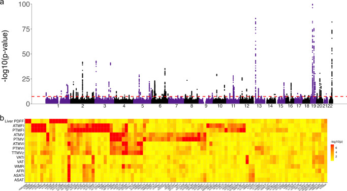 Fig. 2