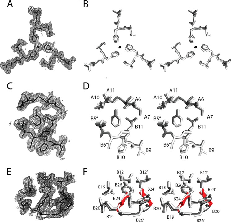 FIGURE 7.