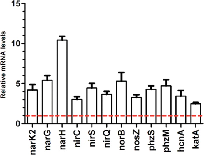 FIG 5