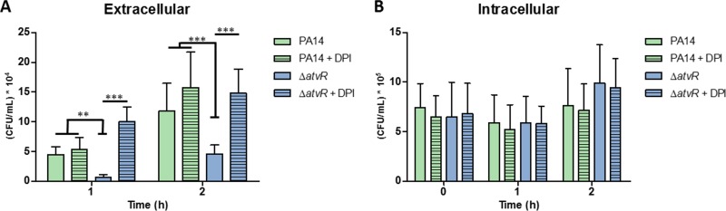 FIG 2