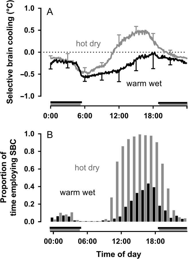 Figure 4: