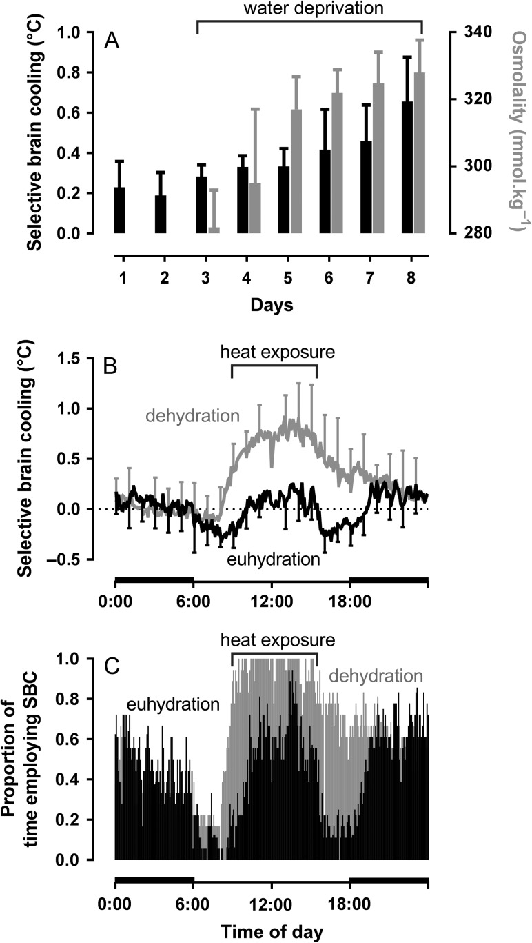 Figure 5: