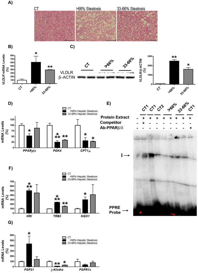 Figure 7