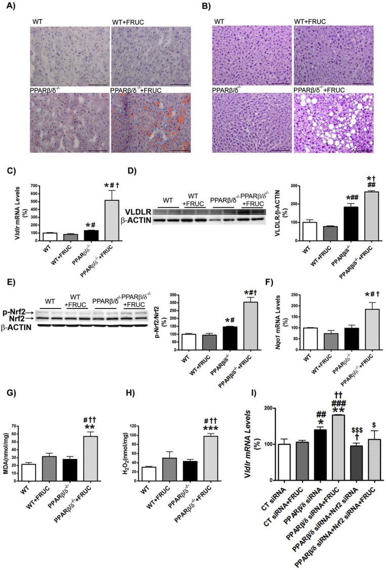 Figure 6