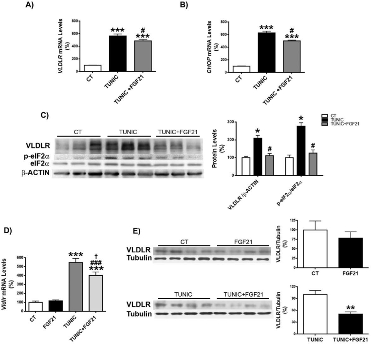 Figure 5