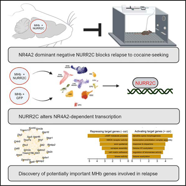 graphic file with name nihms-1980973-f0001.jpg