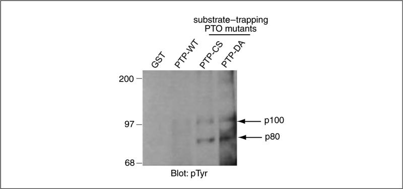 Figure 18.16.7