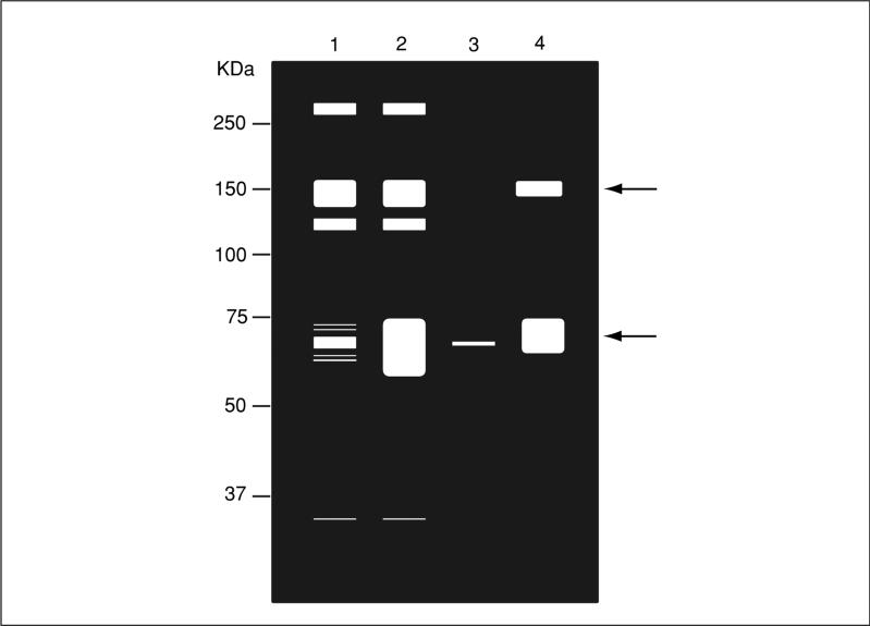 Figure 18.16.5