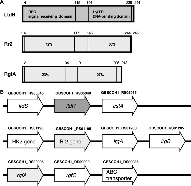 FIG 1