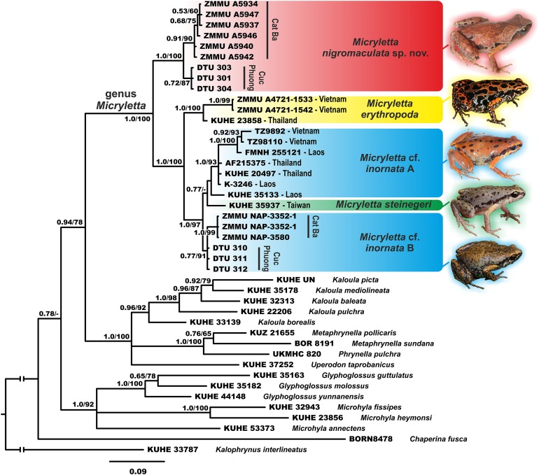 Figure 2