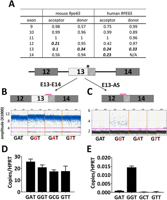 Figure 9.