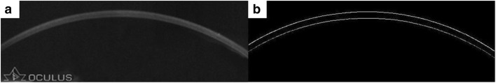 Fig. 6