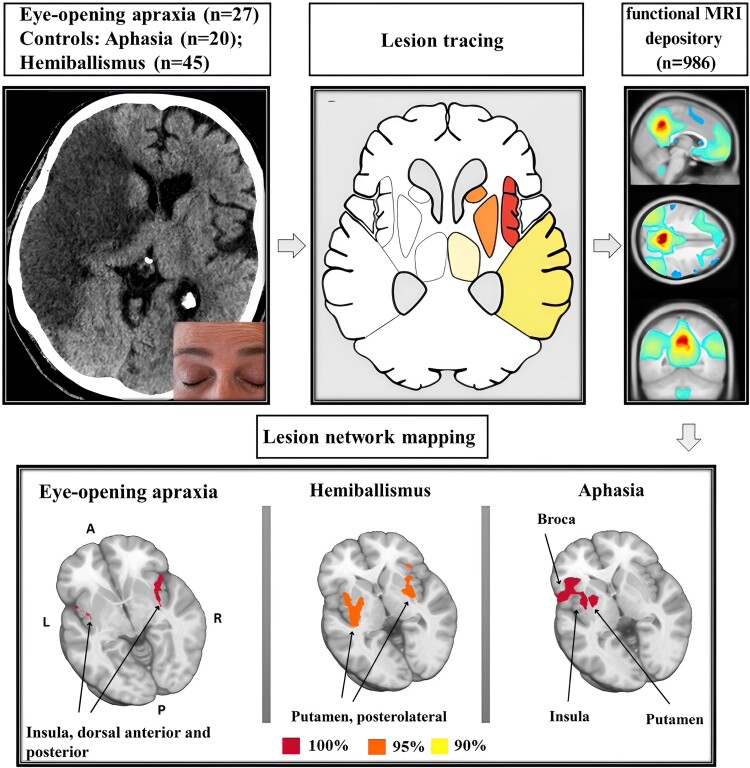 Graphical Abstract