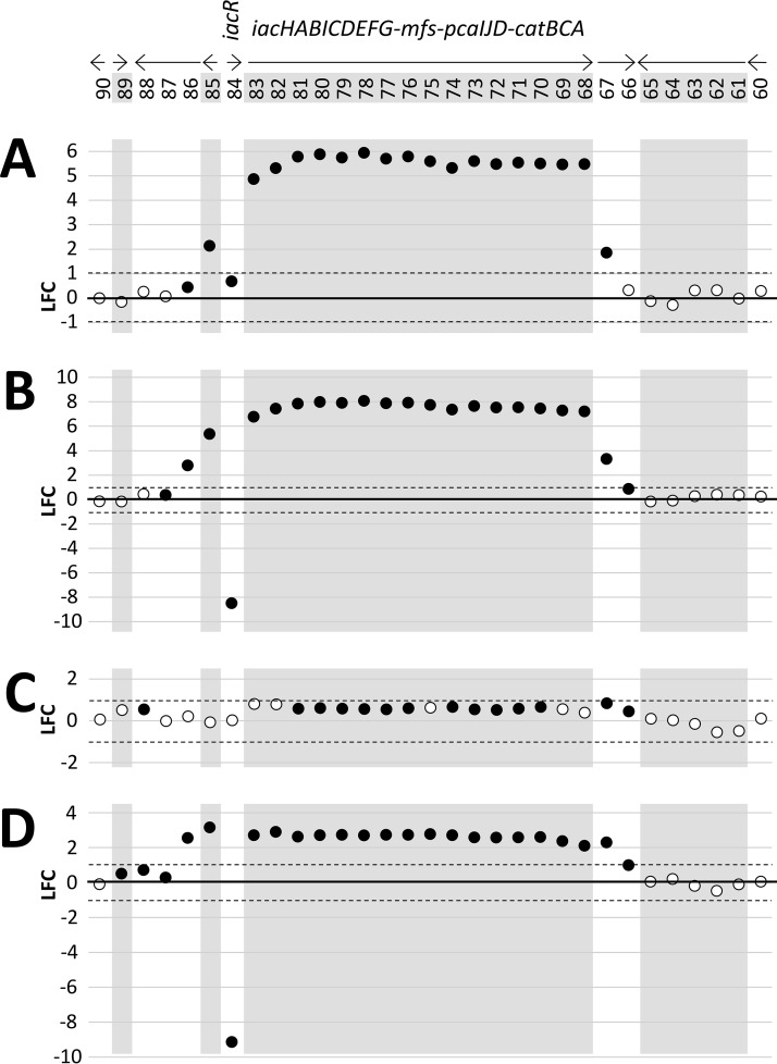 FIG 3