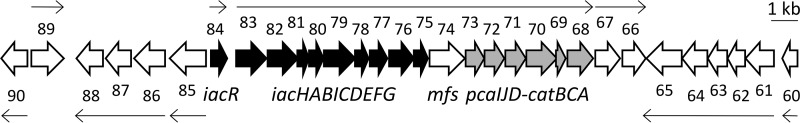 FIG 1