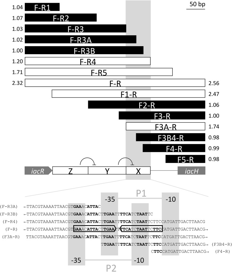 FIG 9