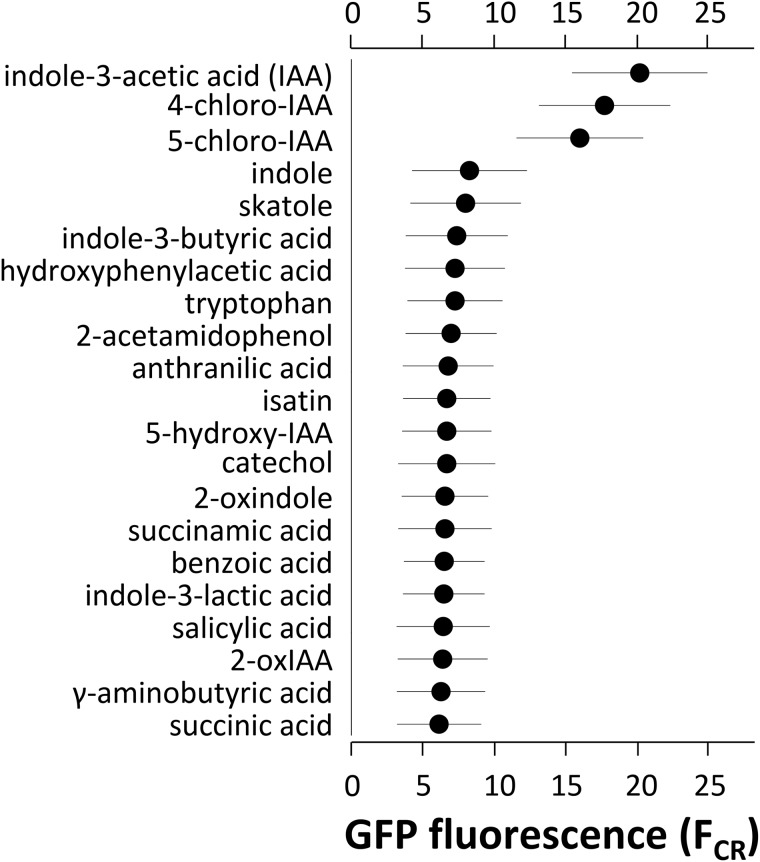 FIG 5