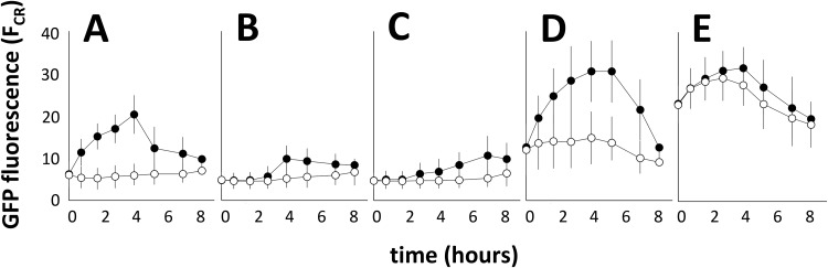 FIG 6