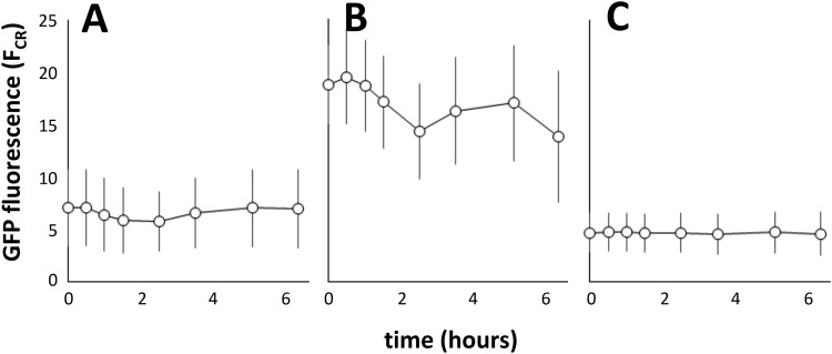 FIG 8