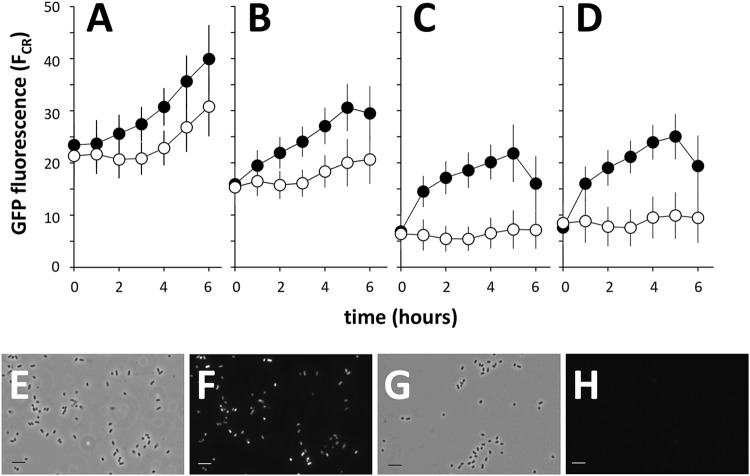 FIG 4